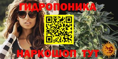 каннабис Будённовск