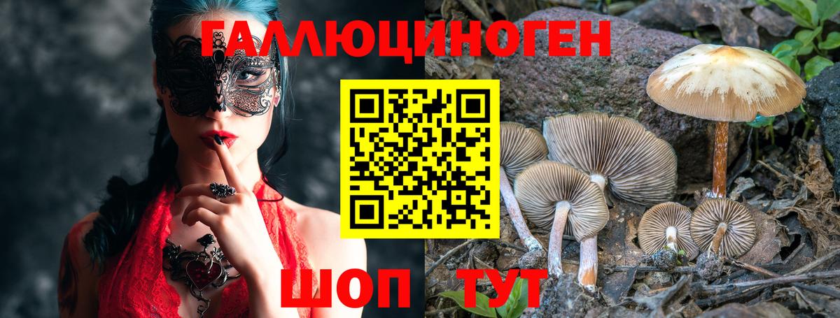 Галлюциногенные грибы мицелий Майский